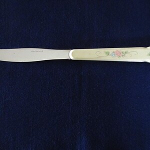 May include: A butter knife with a stainless steel blade and a cream-colored handle. The handle is decorated with pink and blue floral designs and green vines. The knife is set against a dark blue background.