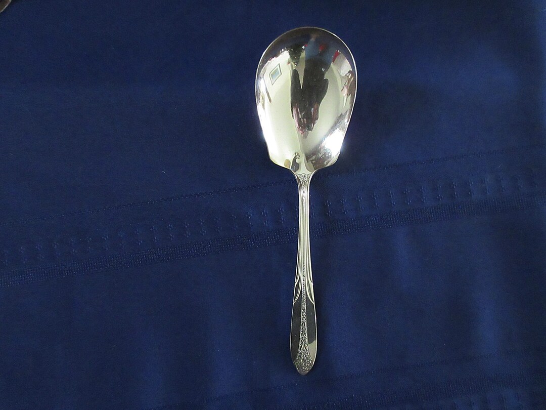 Exl Silverplate Casserole/serving SPOON From National Silver in 'elegant PRINCESS ROYAL Pattern