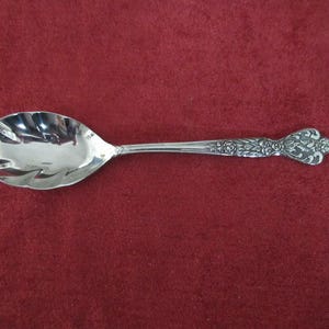 May include: A silver spoon with a decorative floral handle and a scalloped bowl. The spoon is set against a deep red background, highlighting its polished surface and intricate details. A classic piece of silverware.
