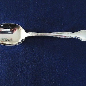May include: A silver spoon with an oval bowl and a decorative handle. The spoon is highly reflective, showing a distorted reflection. The handle features floral and scroll detailing. The spoon is set against a dark blue background.