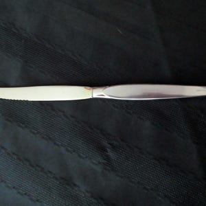 Puede incluir: Un cuchillo de carne de acero inoxidable con una hoja dentada y un mango liso y alargado. El cuchillo está diseñado para cortar carne y otros alimentos. La hoja mide aproximadamente 10 cm de largo.