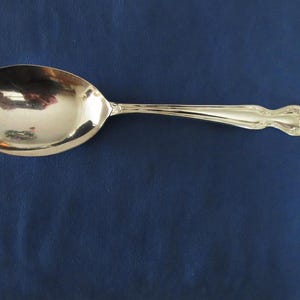 May include: A silver serving spoon with a large, oval bowl and a long, slender handle. The handle features a decorative floral design at the end. The spoon is set against a dark blue background.