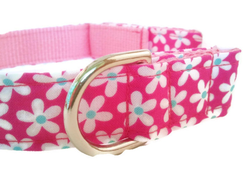 Pink Dog Collar Girly Petals Galore Adjustable Sizes for Etsy