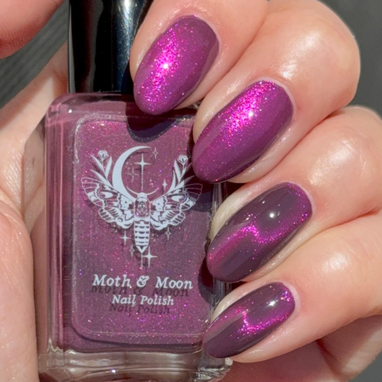 SHLEEE POLISH5本セット Sassy-Sauce-Polish-Walk-On-The