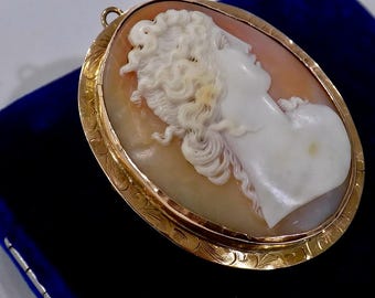 Vintage 10K Gold High-Relief Shell Cameo Brooch Pendant – Hand-Engraved Frame, Original Box, Estate Jewelry