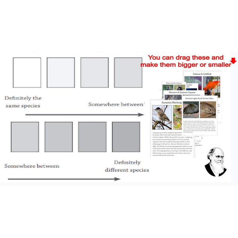 Speciation How does one species become two image 3