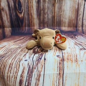 Beanie baby derby style 4008 sale