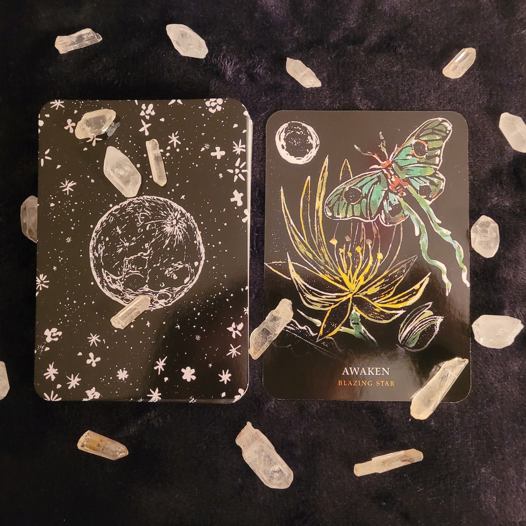 1 Card Oracle Reading With the Flowers of the Night Oracle Etsy