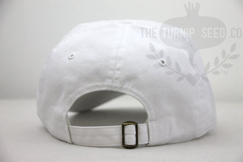 Custom Color Hat and Embroidery. Delta Phi Epsilon Greek Only Sorority Baseball Cap
