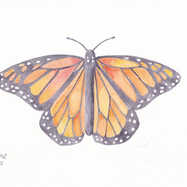 Monarch butterfly, orange black white stripes flying wings