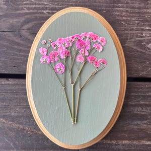 Pressed floral art on oval wood, oval wood wall art, pink pressed baby’s breath, gallery wall art, small gift, plant lover gift
