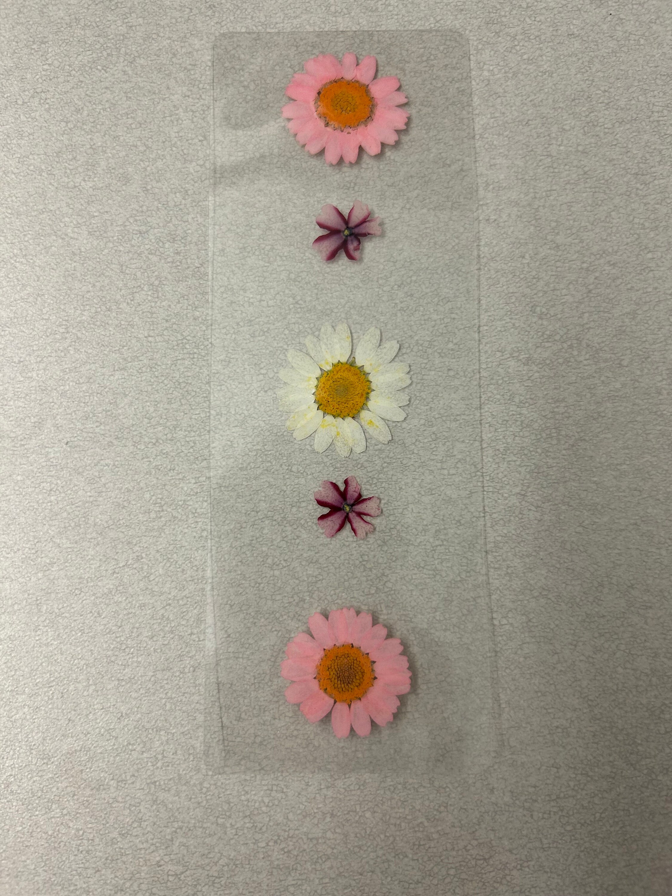 Handmade Pressed Floral Laminated Bookmarks - Real Flowers - Book Lover ...