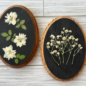Pressed flowers on oval wood plaque, oval wood wall art, white flowers, baby’s breath, gallery wall art, cottage core, plant lover gift