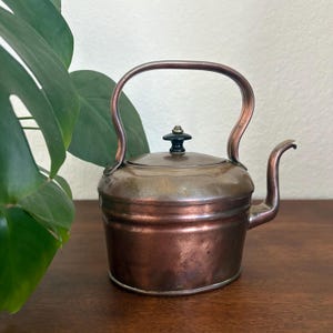May include: A vintage copper kettle with a curved handle and spout. The kettle has a dark patina and a black knob on the lid. The kettle is sitting on a wooden surface, with a green plant in the background.