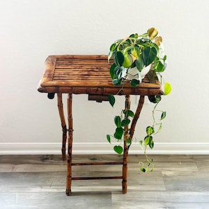 May include: A vintage bamboo side table with a rectangular top and four slender legs. The table is stained a warm brown color. A white pot with a green leafy plant sits on top of the table. The plant's vines cascade down the side.