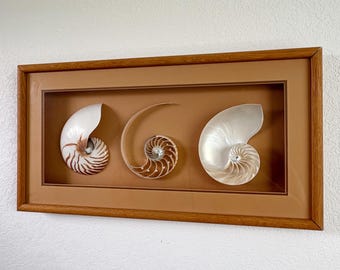 Vintage 3D Seashell Wall Art - "Sea Reflections" by Ralph Mangubat