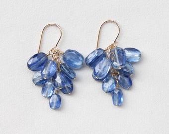 Könnte beinhalten: Ein Paar Ohrhänger mit Clustern aus facettierten, oval geformten blauen Kyanit-Edelsteinen, die an dünnen goldfarbenen Metallbügeln hängen. Jeder Ohrring besteht aus mehreren kleinen, durchscheinenden blauen Steinen in einer traubenartigen Anordnung.