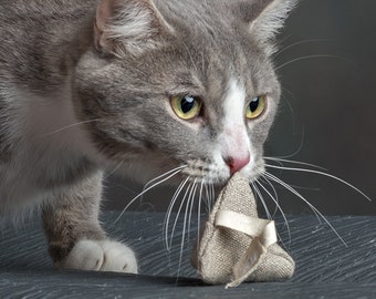 Catnip Tea Bag Etsy