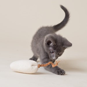 Image shows grey fuzzy kitten pouncing on the brown crocheted tail of a white catnip mouse. Background is white.  Kitten is staring intently at the tail of the cat toy. Organic Catnip Cat Toys by Purrfectplay.  Natural plastic free cat toys.