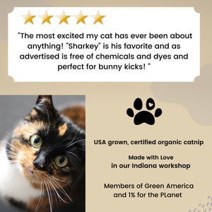 Sturdy Catnip Orca Organic Catnip Cat Toy Great to Carry and Kick Natural Plastic Free Cat Toy image 3