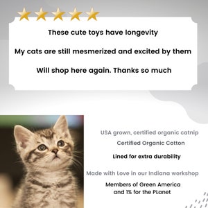 Peut inclure: Un chaton tigr&eacute; gris regarde vers le haut. Le texte comprend des avis sur des jouets pour chats, avec "Ces jouets mignons ont une longue dur&eacute;e de vie" et "Ach&egrave;terai &agrave; nouveau." D&eacute;tails sur l'herbe &agrave; chat et le coton bio.