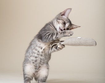 Hemp Catnip Carrot - Organic Catnip Cat Toy - Perfect to Wrestle - Plastic Toxin Free Natural Toy