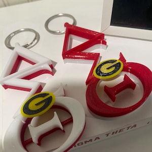 Delta Sigma Theta Key Chain Ring: 3D Hard Plastic Luggage Charm G on front