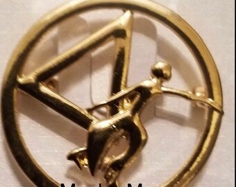 Delta Sigma Theta Gold Plated Brooch Pin: Limited Edition DST Jewelry