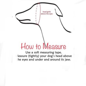 May include: Line drawing of a dog's head with instructions on how to measure the head girth above the eyes. Use a soft measuring tape and measure tightly around the head above the eyes and under and around the jaw.