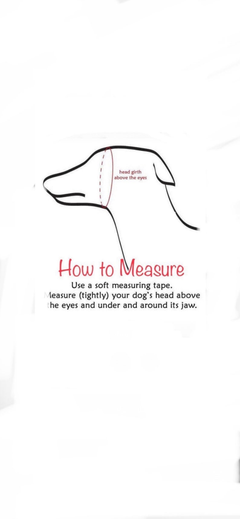 May include: Line drawing of a dog's head with instructions on how to measure the head girth above the eyes. Use a soft measuring tape and measure tightly around the head above the eyes and under and around the jaw.