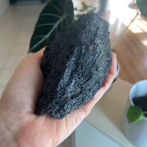 May include: A large, rough-textured black stone held in a hand. The stone has a crystalline appearance with many small, needle-like formations. The background includes a large green plant and a white pot with a small plant.