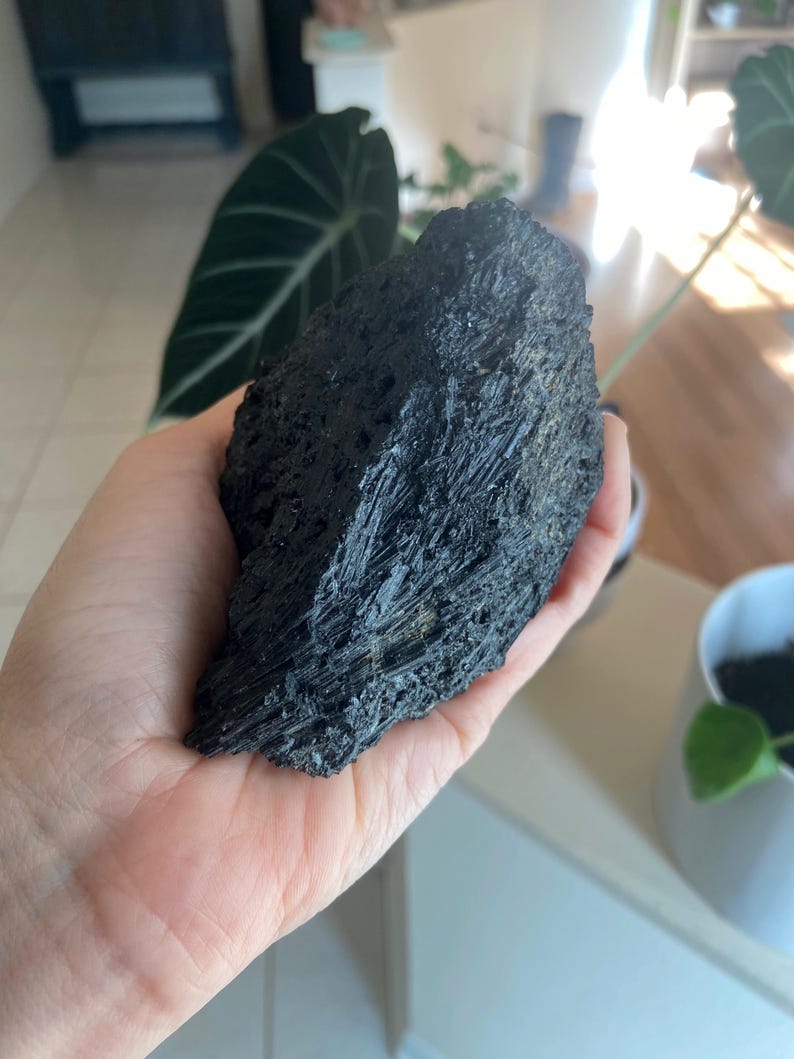 May include: A large, rough-textured black stone held in a hand. The stone has a crystalline appearance with many small, needle-like formations. The background includes a large green plant and a white pot with a small plant.
