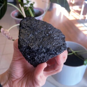 May include: A rough, dark black mineral specimen with a textured surface. The mineral appears to be held in a hand, with a blurred background of plants and a white pot.