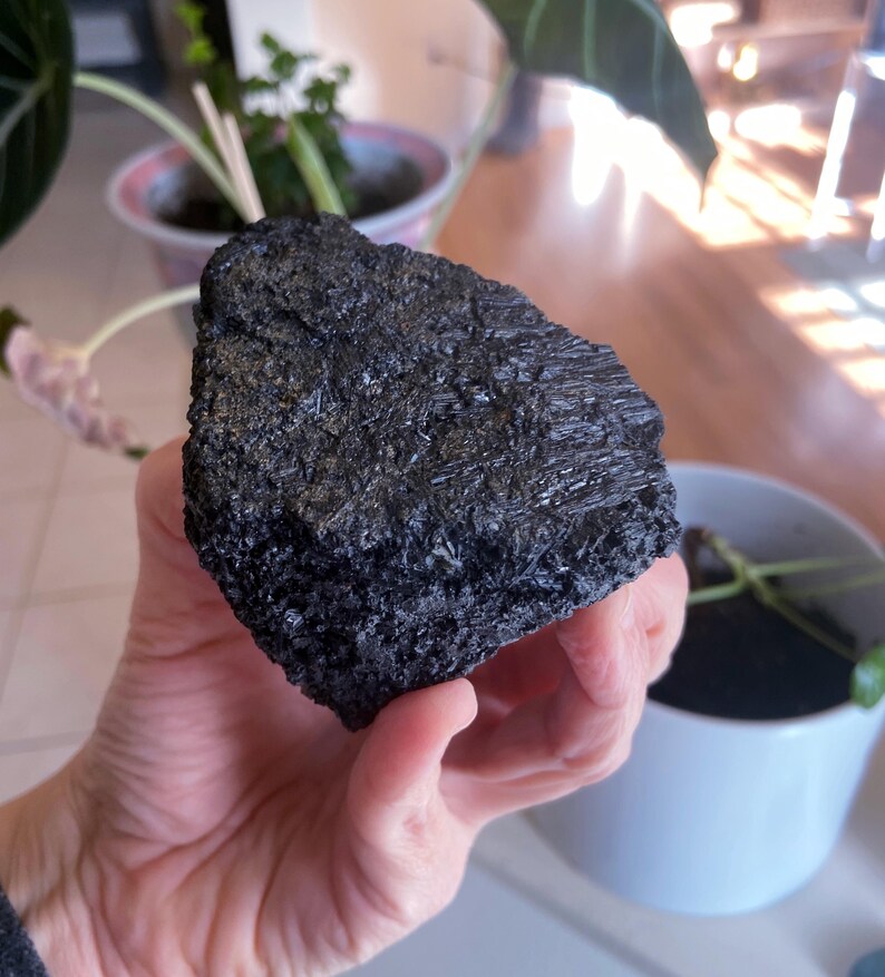 May include: A rough, dark black mineral specimen with a textured surface. The mineral appears to be held in a hand, with a blurred background of plants and a white pot.