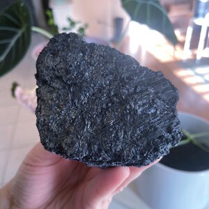 May include: A dark, rough-textured, black mineral specimen. The stone is held in a hand, showcasing its irregular shape and crystalline structure. The background is blurred, with hints of plants and a white pot.