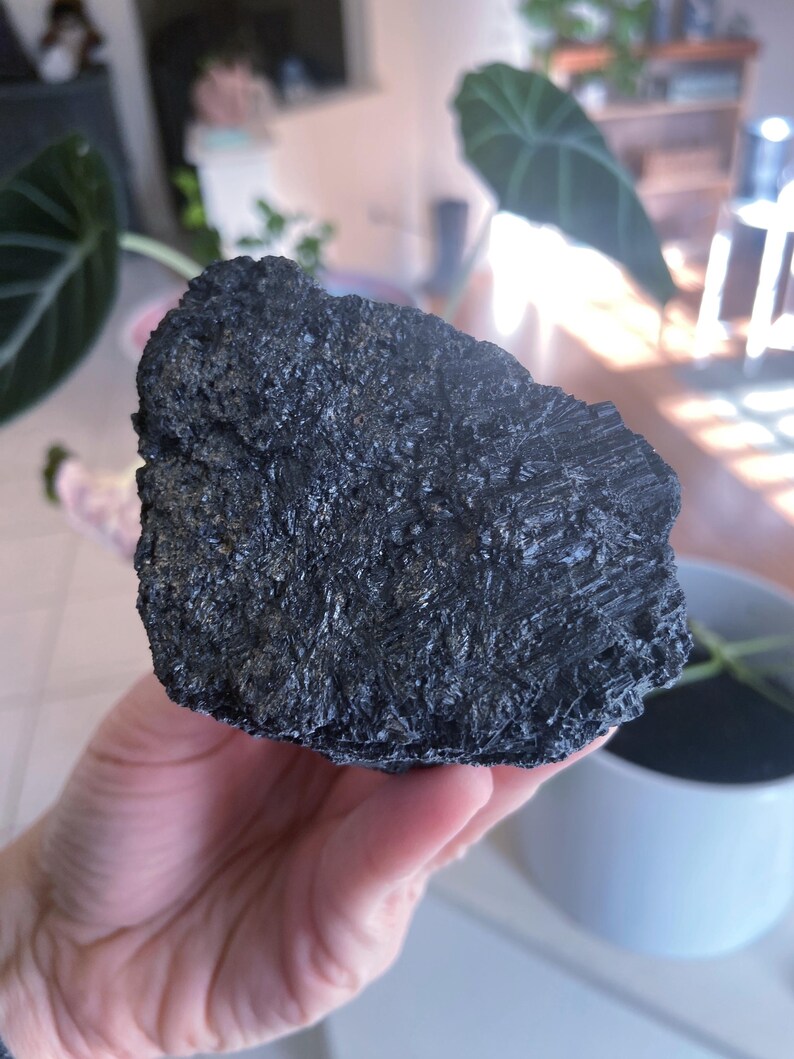 May include: A dark, rough-textured, black mineral specimen. The stone is held in a hand, showcasing its irregular shape and crystalline structure. The background is blurred, with hints of plants and a white pot.