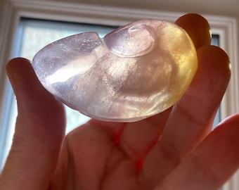 Concha de amonita fluorita atardecer, tallado de cristal curativo, chakra del tercer ojo, pieza exacta