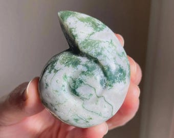 Moss Agate Ammonite,  Crystal Fossil, Ancient Wisdom, Exact One, 2"