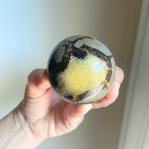 May include: A polished sphere with a mix of colors. The sphere has a light brown and dark brown pattern with a yellow center. The sphere is held in a hand.