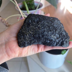 May include: A rough, dark black mineral specimen with a textured surface. The mineral is held in a hand, with a blurred background featuring plants in pots and natural light.