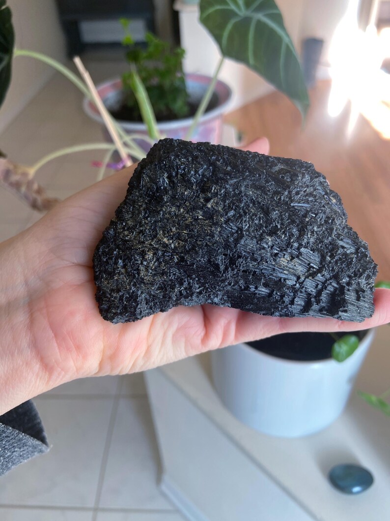 May include: A rough, dark black mineral specimen with a textured surface. The mineral is held in a hand, with a blurred background featuring plants in pots and natural light.