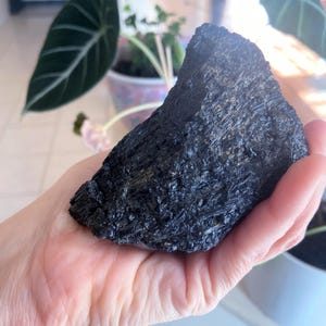 May include: A large, rough-textured black tourmaline crystal is held in a hand. The crystal has a jagged, uneven surface and a deep, dark color. The background includes green plants in pots.
