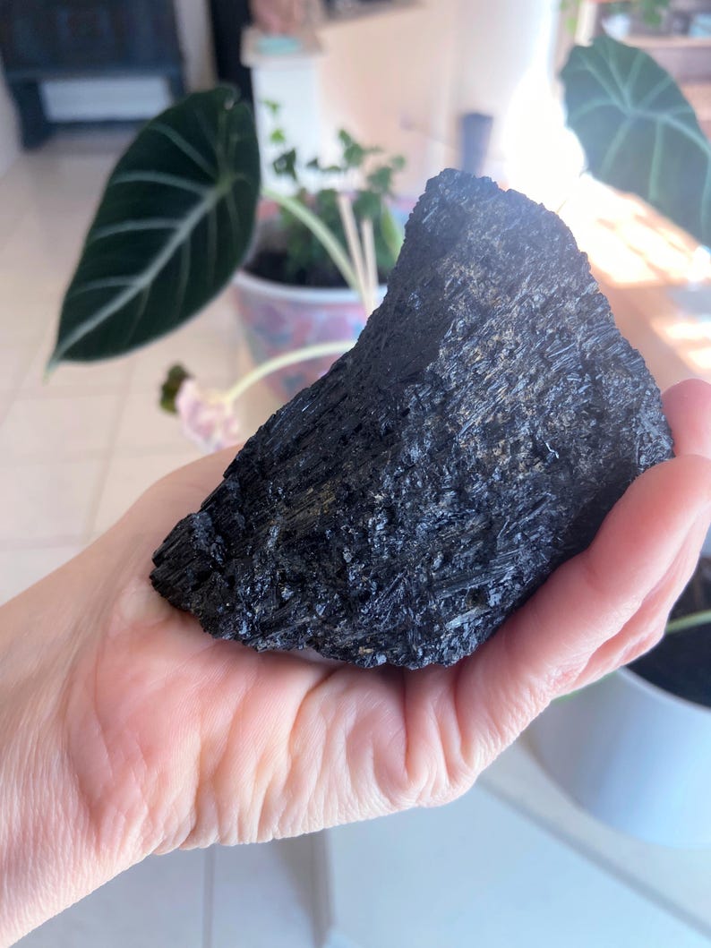 May include: A large, rough-textured black tourmaline crystal is held in a hand. The crystal has a jagged, uneven surface and a deep, dark color. The background includes green plants in pots.
