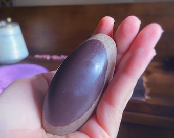 Piedra de palma Shiva, cristal curativo para los chakras raíz y sacro, 7,6 cm (3 pulgadas)