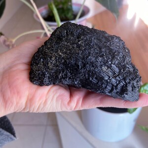 May include: A large, rough-textured, black mineral specimen is held in a hand. The mineral has a crystalline structure and a dark, matte appearance. The background includes a white pot with a plant and a wooden surface.