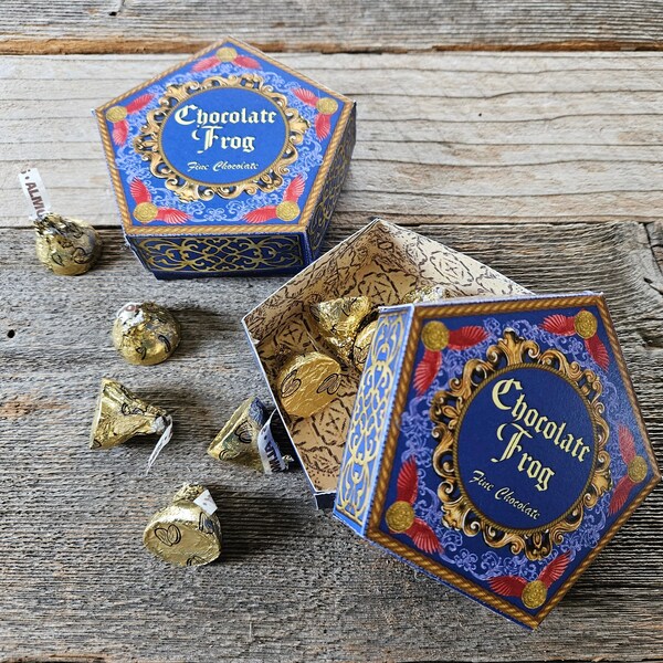 Chocolate Frog Box Etsy