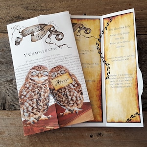 Printable Cuddling Owls Invitation/ Wedding Program Editable text image 1