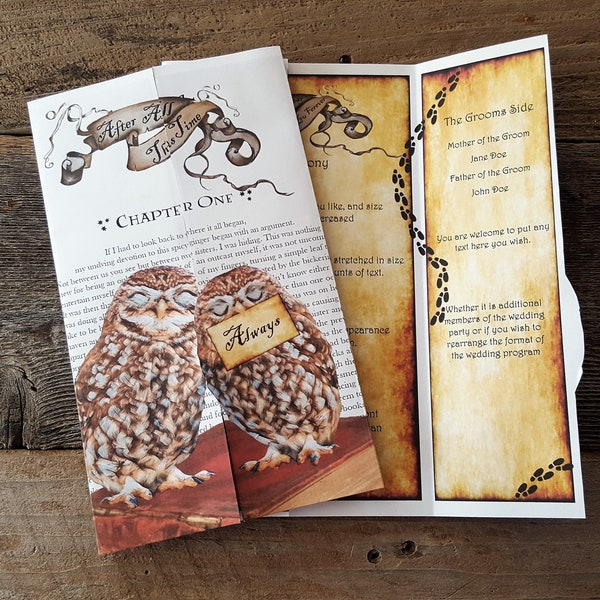 Printable Cuddling Owls Invitation/ Wedding Program (Editable text)