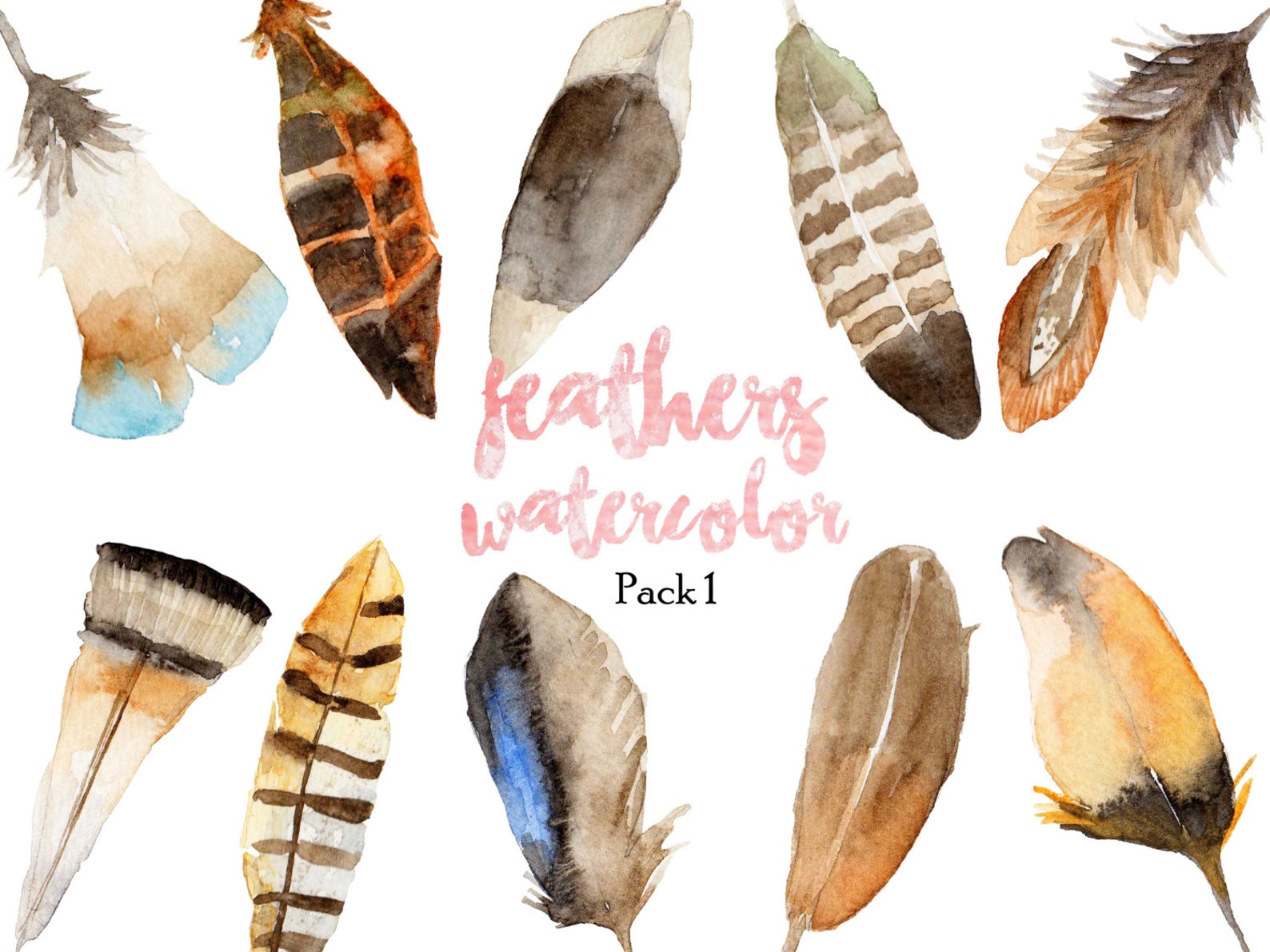 Feathers Clip Art / Watercolor Clip Art / Stock Image / Digital ...