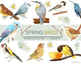 Birds Clipart Watercolor Spring Little Cute Wildlife Animal Jungle Baby Nature Branches Digital Download Invitation Paint Pla